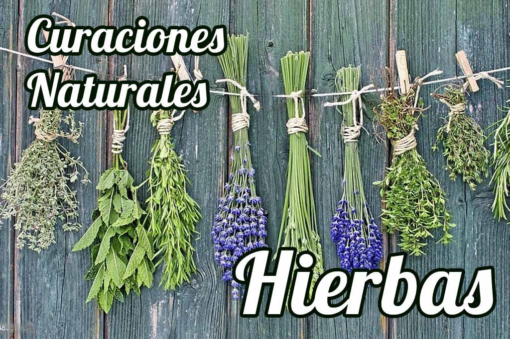 Hierbas-Curaciones-Naturales-MexNation